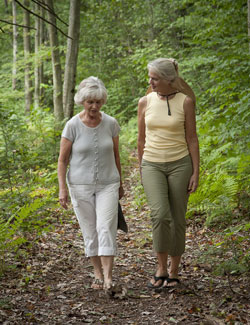 A casual walk in the woods - RiverMead in Peterborough NH